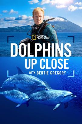 Delfine Hautnah mit Bertie Gregory (2025)